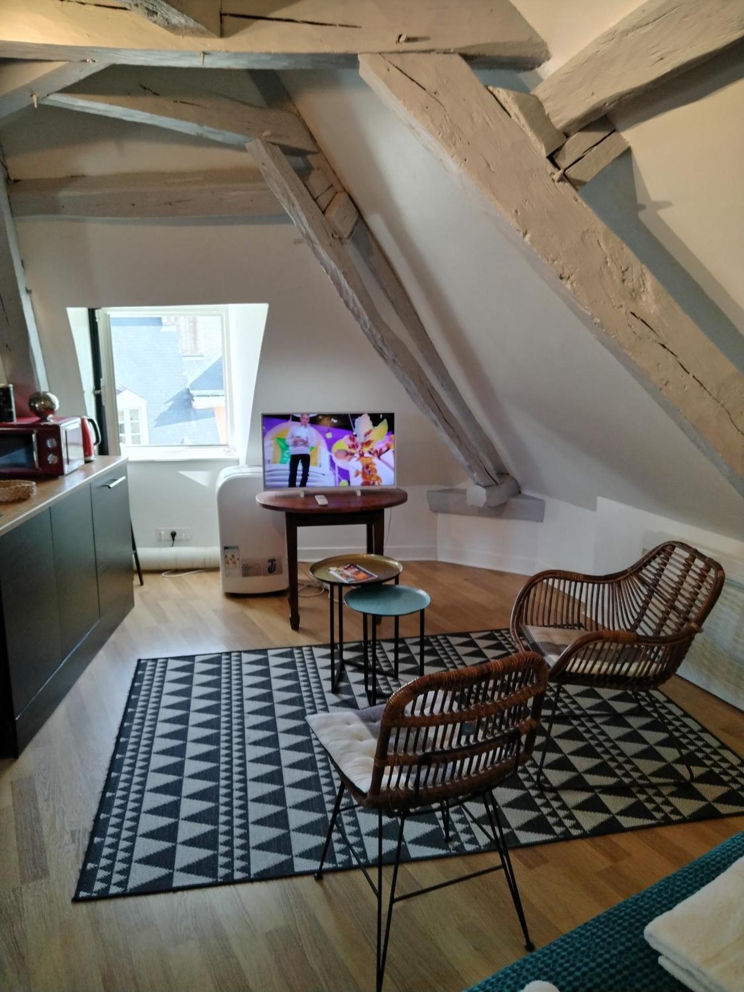 Appartement Henri II 르망 외부 사진